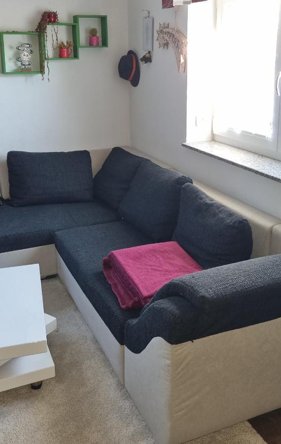 Ferienwohnung Bergidyll シュヴァルツェンベルク エクステリア 写真