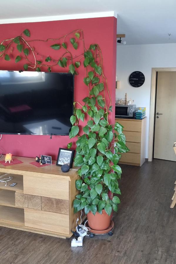 Ferienwohnung Bergidyll シュヴァルツェンベルク エクステリア 写真