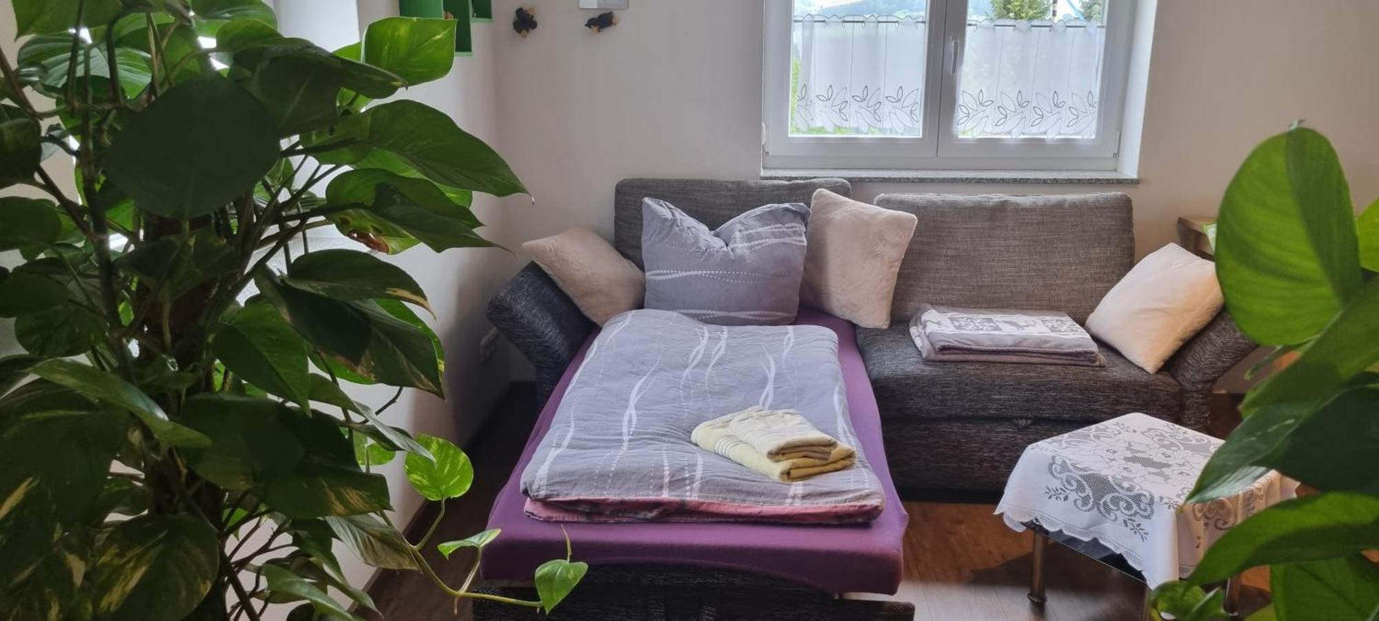 Ferienwohnung Bergidyll シュヴァルツェンベルク エクステリア 写真